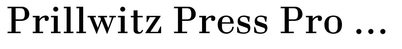 Prillwitz Press Pro Regular